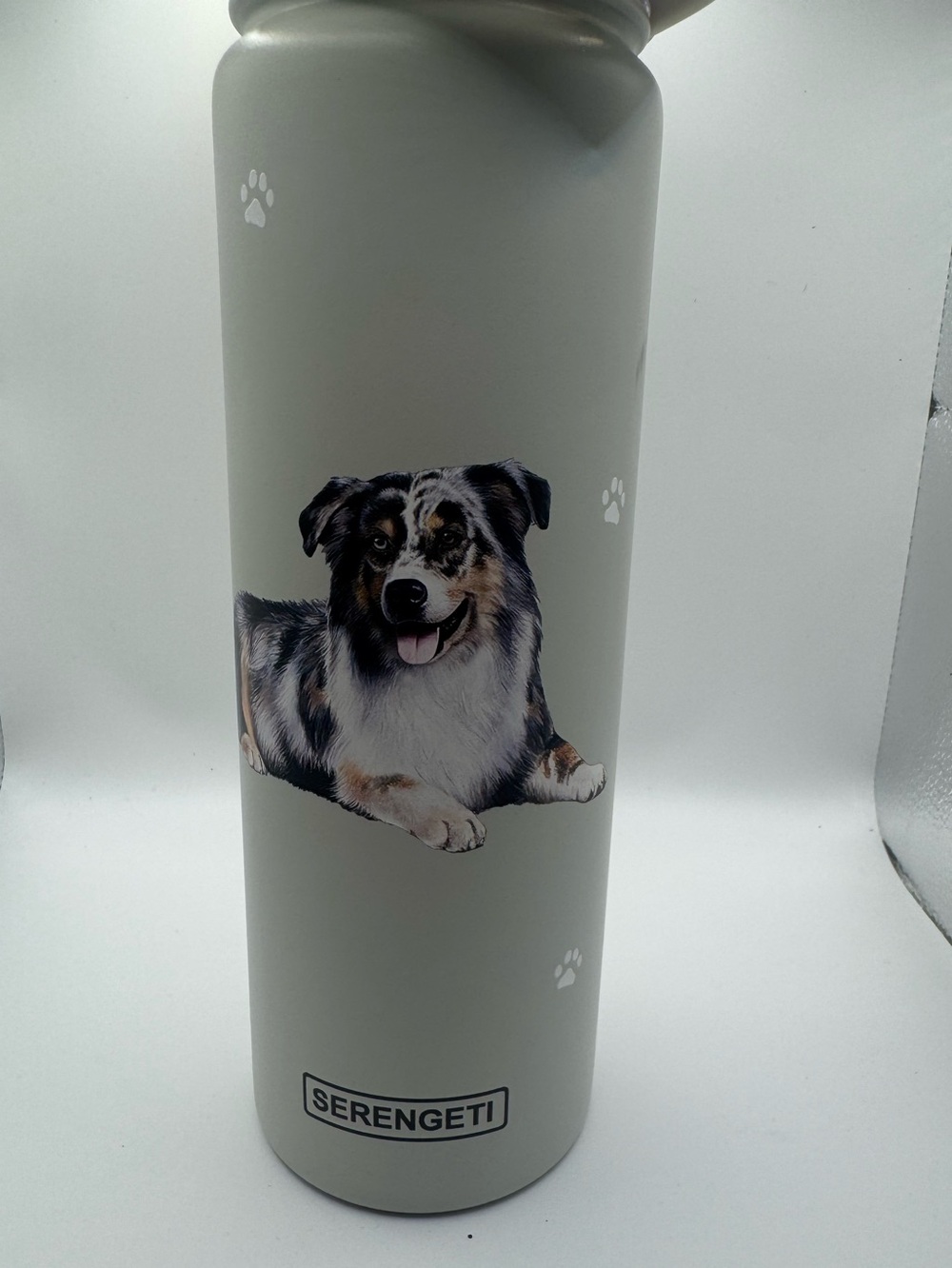 SERENGETI Australian Shepherd 24 Oz Stainless Steel Water Bottle Spill Proof Lid